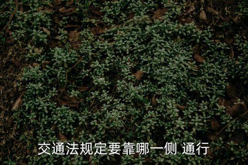右側(cè)通行