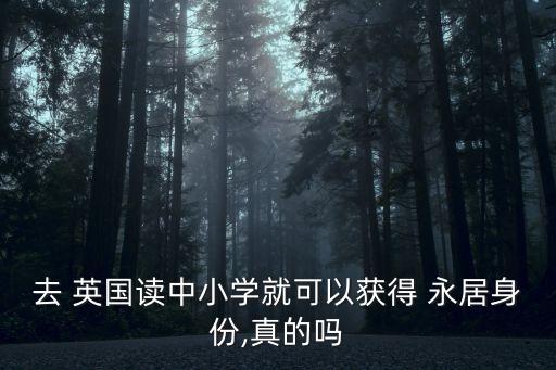 去 英國讀中小學(xué)就可以獲得 永居身份,真的嗎