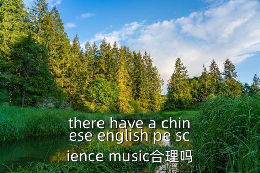 there have a chinese english pe science music合理嗎
