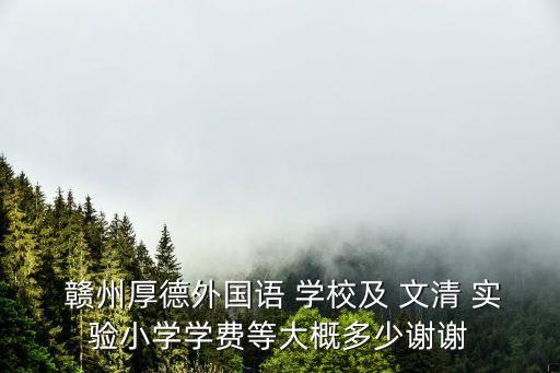 贛州文清實驗學校