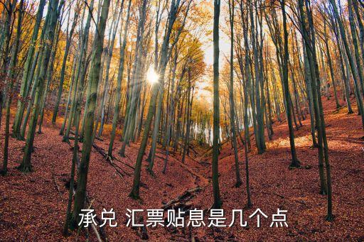  承兌 匯票貼息是幾個(gè)點(diǎn)