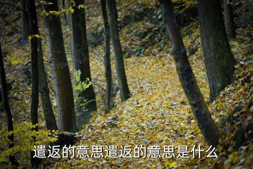 遣送是什么意思,被遣送回家是什么意思