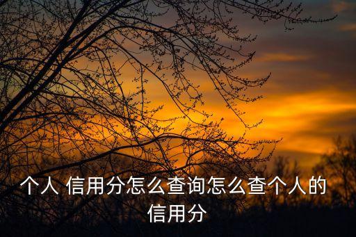 個(gè)人 信用分怎么查詢?cè)趺床閭€(gè)人的 信用分