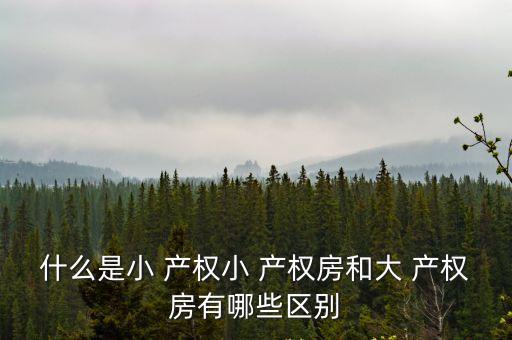 什么是小 產(chǎn)權(quán)小 產(chǎn)權(quán)房和大 產(chǎn)權(quán)房有哪些區(qū)別