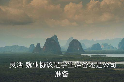  靈活 就業(yè)協(xié)議是學(xué)生準(zhǔn)備還是公司準(zhǔn)備