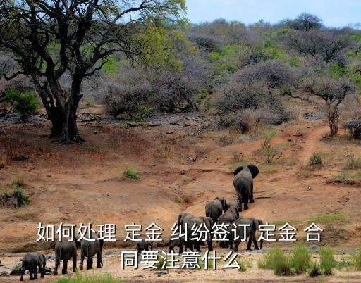 如何處理 定金 糾紛簽訂 定金 合同要注意什么