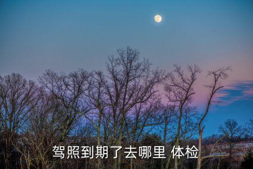 駕照到期了去哪里 體檢