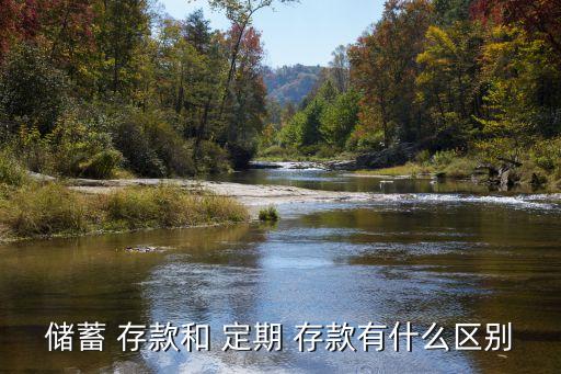 儲蓄 存款和 定期 存款有什么區(qū)別