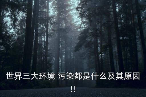 世界三大環(huán)境 污染都是什么及其原因!!