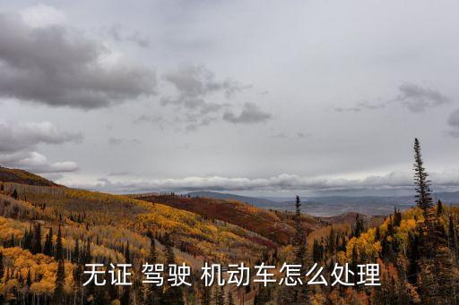  無證 駕駛 機動車怎么處理