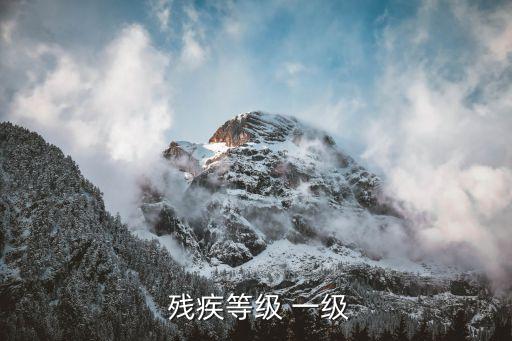  殘疾等級(jí) 一級(jí)