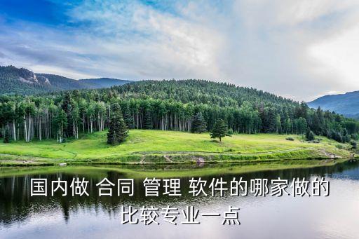 國內(nèi)做 合同 管理 軟件的哪家做的比較專業(yè)一點(diǎn)