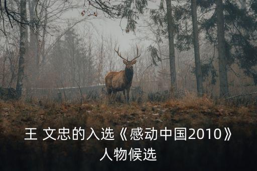 王文忠