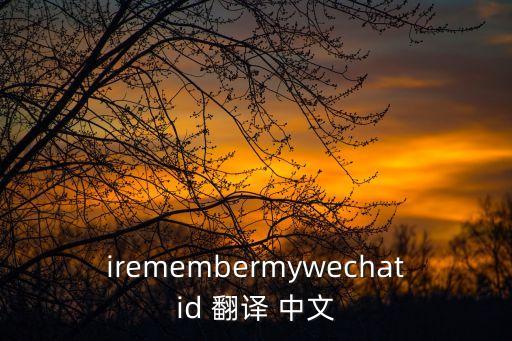 英文字母翻譯中文圖片,手臂英文字母紋身圖片帶翻譯