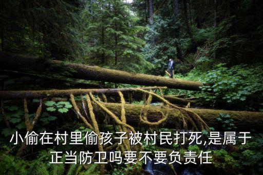 小偷在村里偷孩子被村民打死,是屬于正當(dāng)防衛(wèi)嗎要不要負(fù)責(zé)任