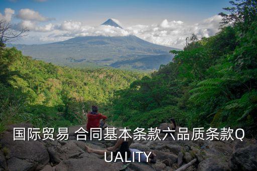 國際貿(mào)易 合同基本條款六品質(zhì)條款QUALITY