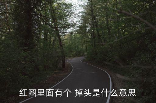 紅圈里面有個 掉頭是什么意思