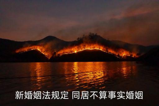 同居的目的在線