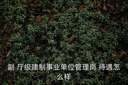 副 廳級建制事業(yè)單位管理崗 待遇怎么樣
