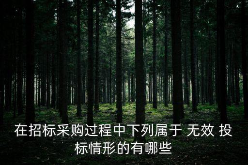 在招標采購過程中下列屬于 無效 投標情形的有哪些