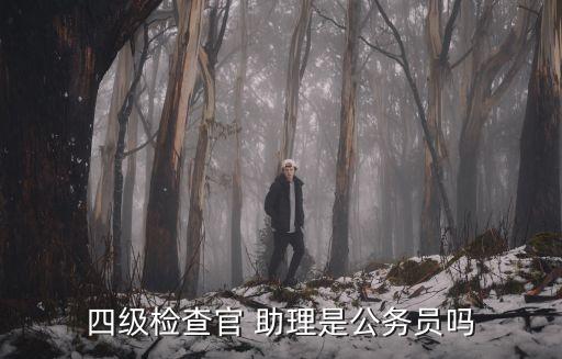 四級(jí)檢查官 助理是公務(wù)員嗎