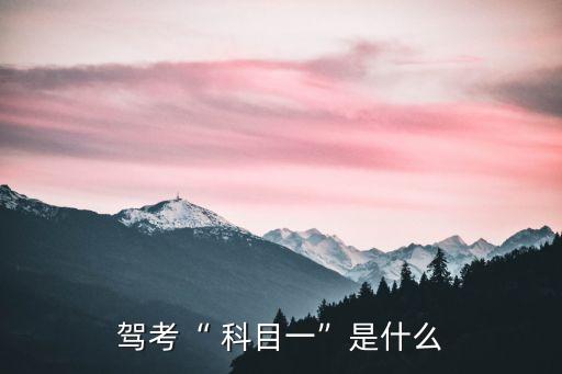 駕考“ 科目一”是什么