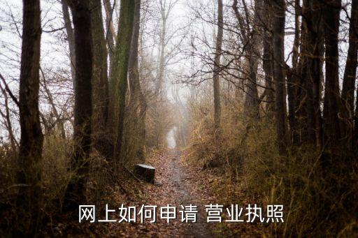  網(wǎng)上如何申請(qǐng) 營(yíng)業(yè)執(zhí)照
