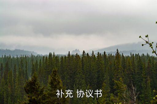  補(bǔ)充 協(xié)議書(shū)
