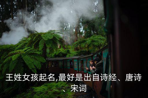 王姓女孩起名,最好是出自詩經(jīng)、唐詩、宋詞