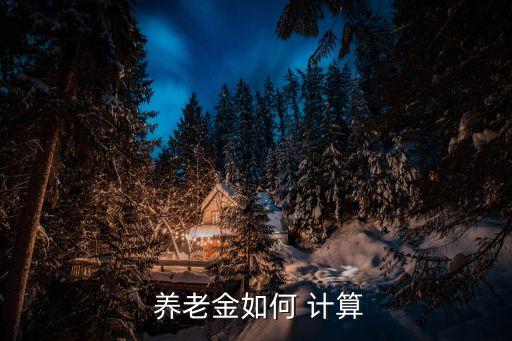  養(yǎng)老金如何 計算