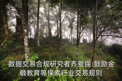  數(shù)據(jù)交易合規(guī)研究者齊愛民:鼓勵(lì)金融教育等探索行業(yè)交易規(guī)則