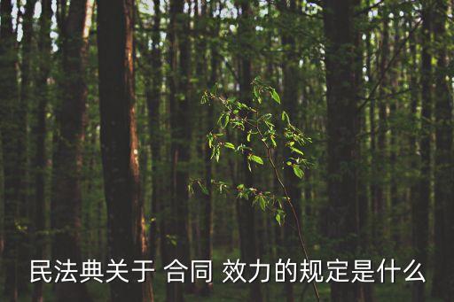 民法典關(guān)于 合同 效力的規(guī)定是什么