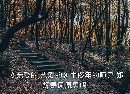 《親愛的,熱愛的》中佟年的師兄 鄭輝是鳳凰男嗎