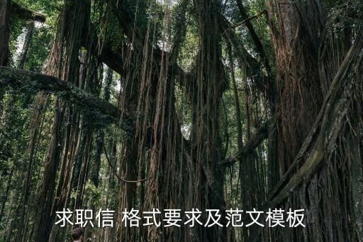 應(yīng)聘信格式,英語應(yīng)聘信格式