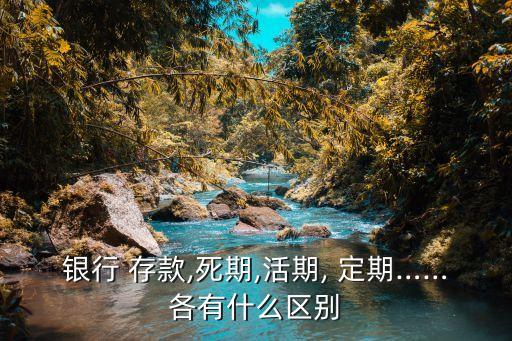 什么是定期存款