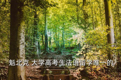  魁北克 大學高考生法語留學唯一的.