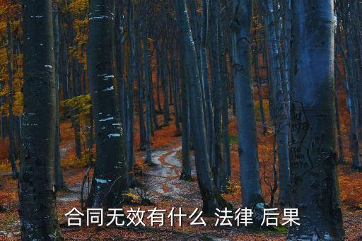  合同無效有什么 法律 后果