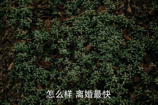 怎么樣 離婚最快