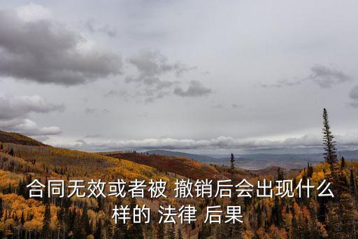 撤銷合同的法律后果是什么