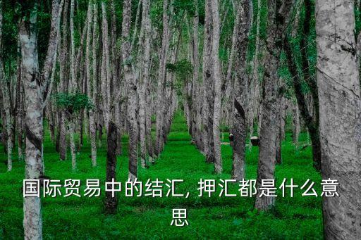 國(guó)際貿(mào)易中的結(jié)匯, 押匯都是什么意思