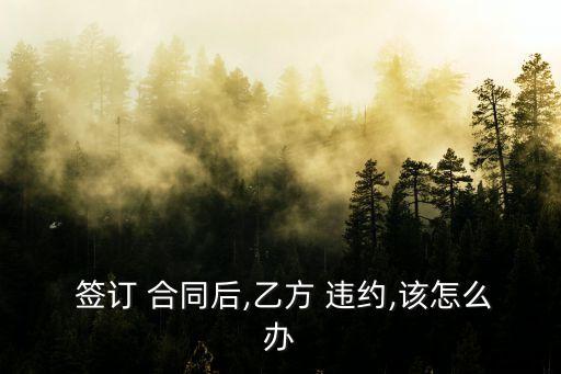  簽訂 合同后,乙方 違約,該怎么辦