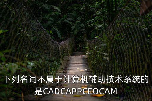 下列名詞不屬于計(jì)算機(jī)輔助技術(shù)系統(tǒng)的是CADCAPPCEOCAM