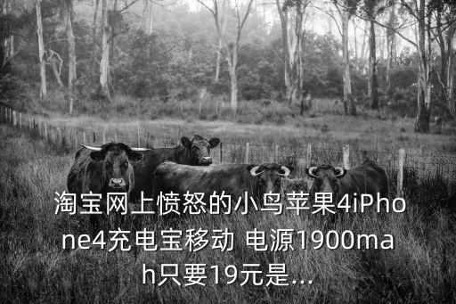  淘寶網(wǎng)上憤怒的小鳥蘋果4iPhone4充電寶移動 電源1900mah只要19元是...