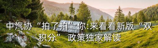 雙積分政策,汽車行業(yè)雙積分政策