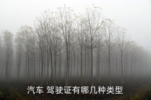 駕駛執(zhí)照