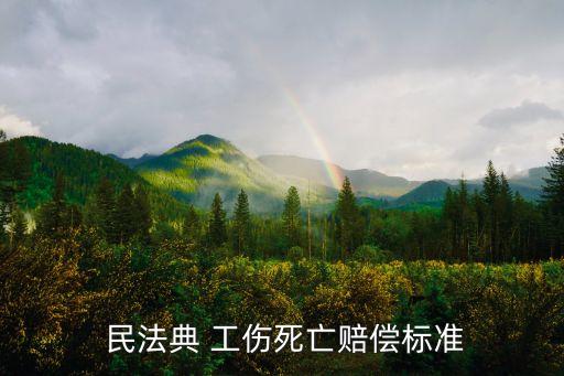  民法典 工傷死亡賠償標(biāo)準(zhǔn)