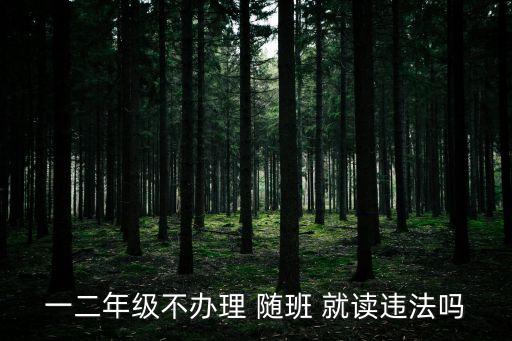 隨班就讀