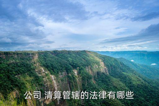 公司 清算管轄的法律有哪些