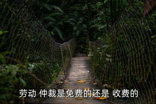 勞動(dòng)仲裁收費(fèi)嗎,個(gè)人申請(qǐng)勞動(dòng)仲裁收費(fèi)嗎