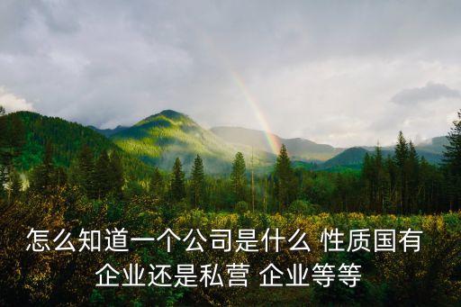 企業(yè)性質(zhì)查詢,如何查詢企業(yè)性質(zhì)